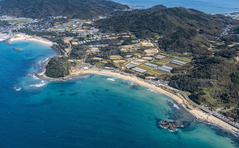 画像 : O3.West Coast