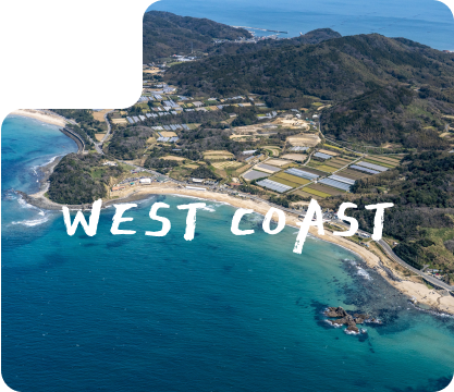 画像 :  WEST COAST